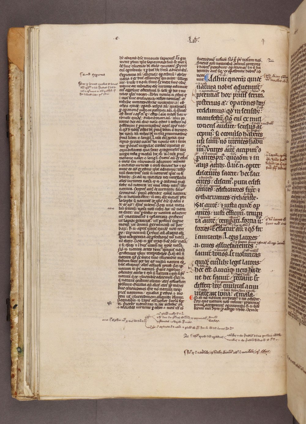 Folio 43 verso